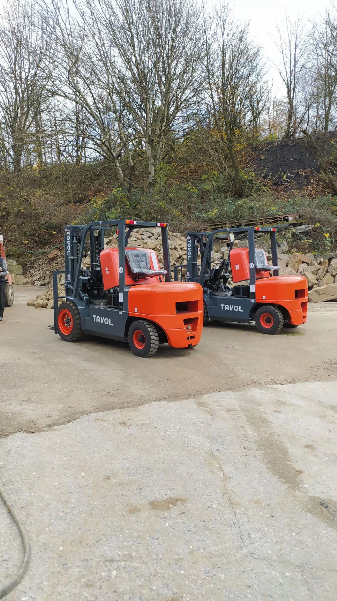 Servicio de montacargas diesel de 3 toneladas Tavol en Alemania