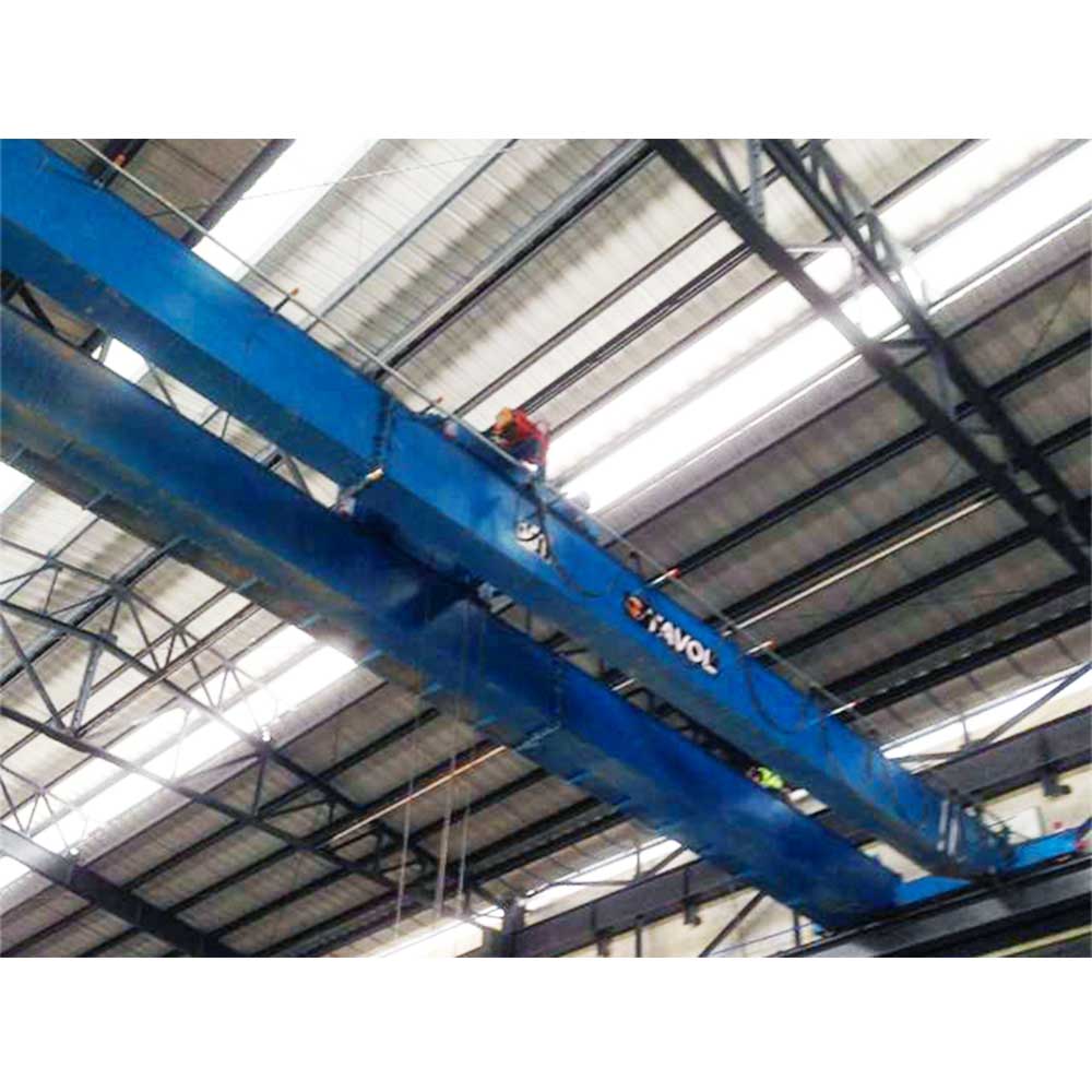 Tavol Brand LH Modelo de doble viga Crane Venta popular con un buen precio 