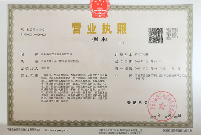 Certificado de marca famosa de Taian