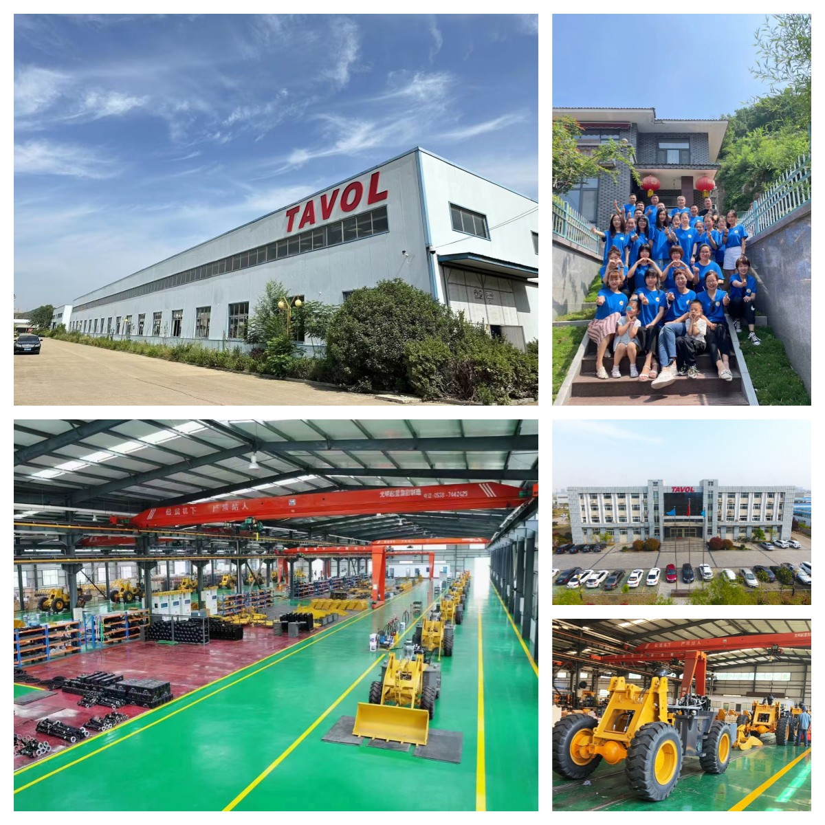 Tavol 公司 图片 1